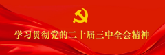 程力汽車(chē)集團(tuán)學(xué)習(xí)貫徹中央經(jīng)濟(jì)工作會(huì)議精神